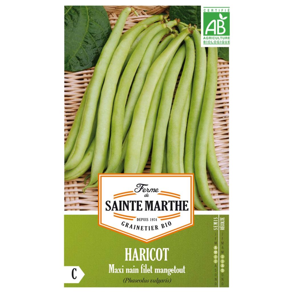 Haricot Maxi Bio – Top 50 - Ferme de Sainte Marthe