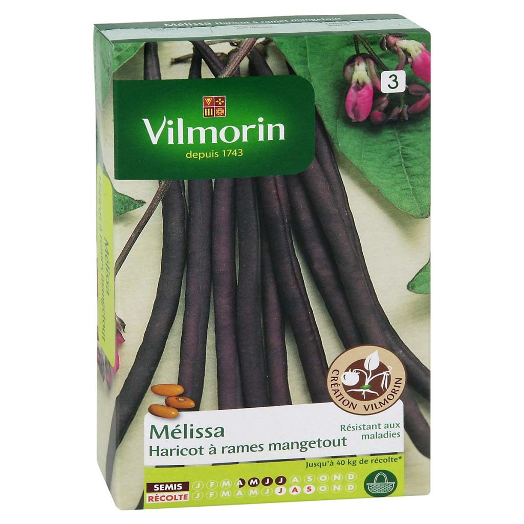 Stokslaboon Melissa - Vilmorin