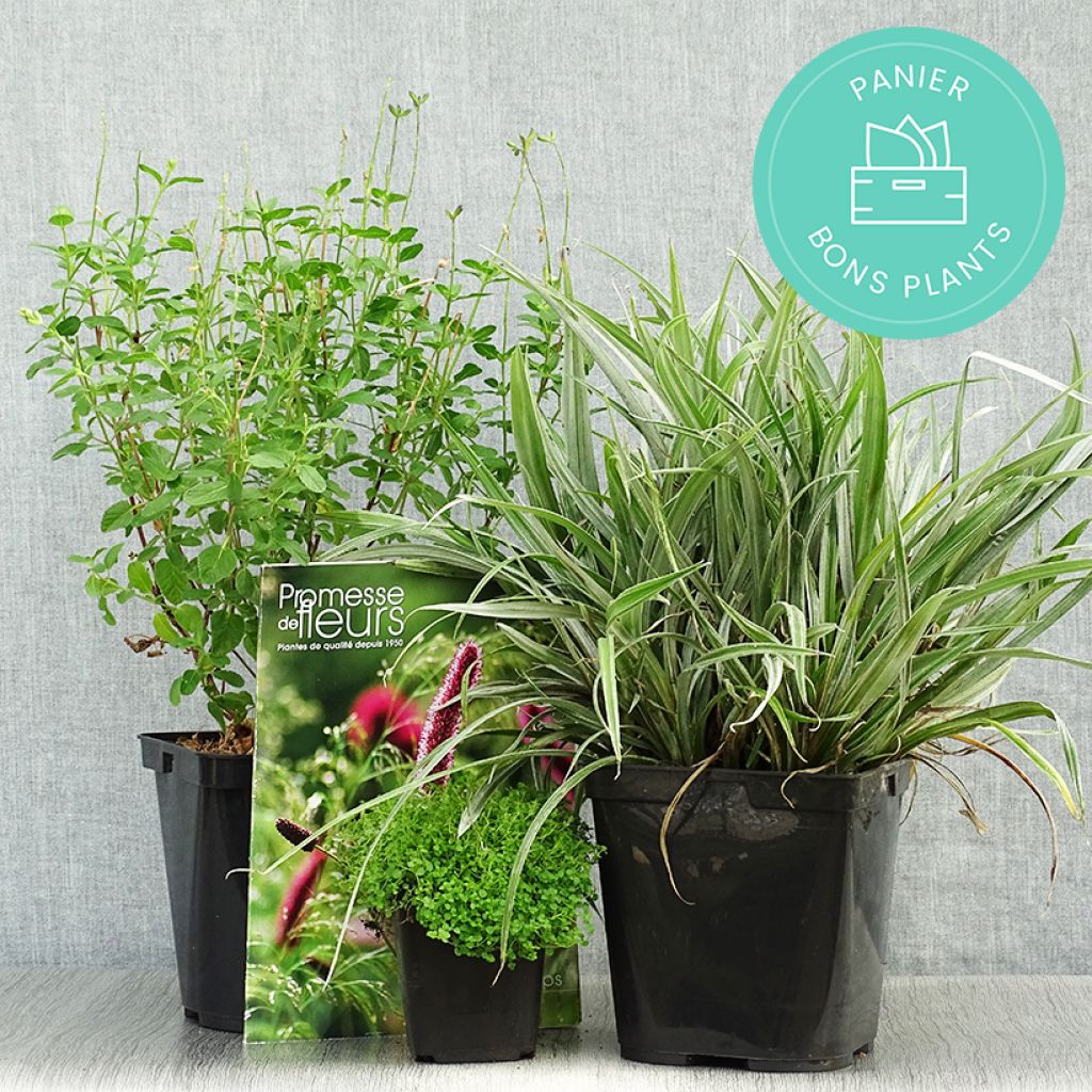 ‘Zero waste’ manden