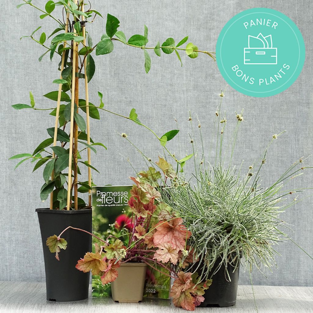 ‘Zero waste’ manden