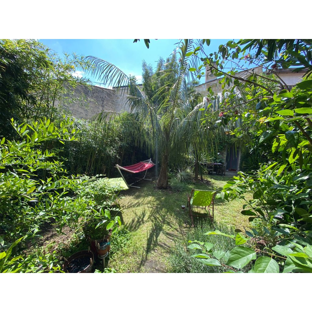 Parajubaea torallyi - Janchicocopalm