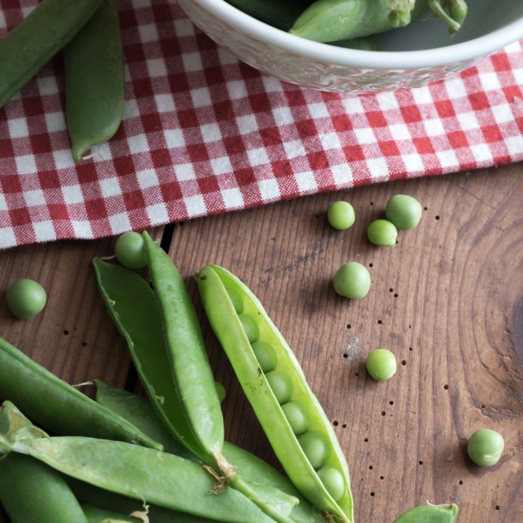 Doperwt Wonder van Kelvedon