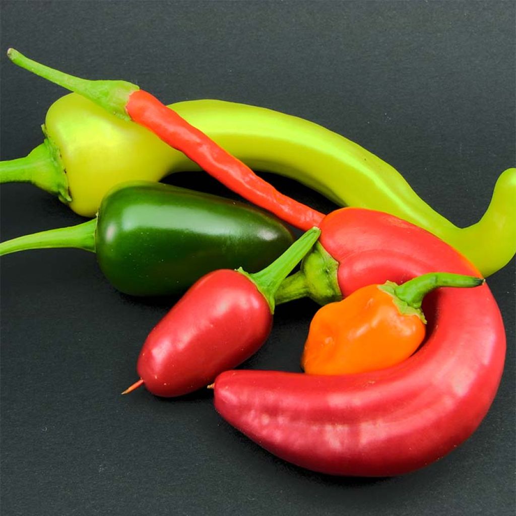 Paprika Sweet Banana