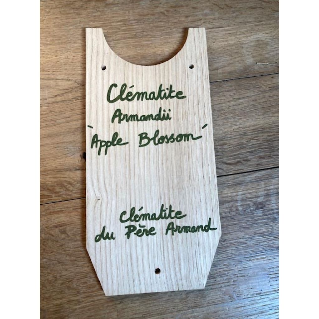 Kastanje beschermtegel voor clematis