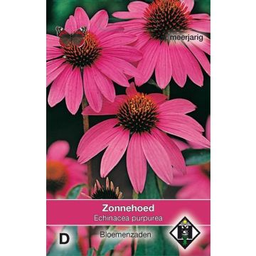Echinacea purpurea Zonnehoed (zaad) - Rode zonnehoed