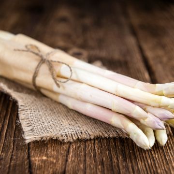 Asperge Emma (klauwen)