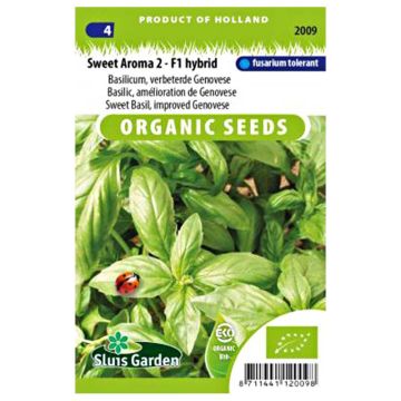 Basilicum Sweet Aroma F1 BIO