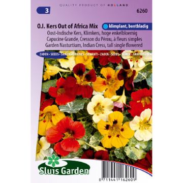 Oost-Indische kers Out Of Africa (zaad) - Tropaeolum majus