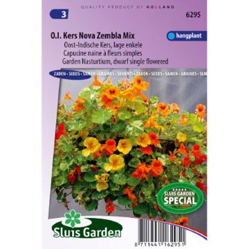 Oost-Indische kers Nova Zembla (zaad) - Tropaeolum majus
