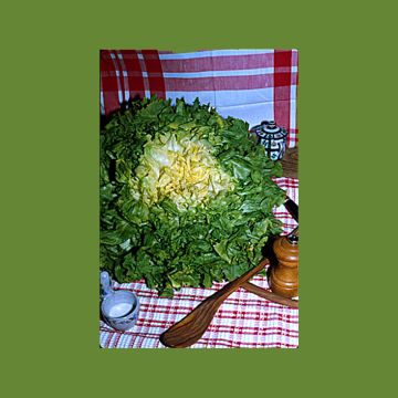 Andijvie Blonde à Coeur Plein (Gele Volhart) Andijvie Blonde à Coeur Plein (Gele Volhart)