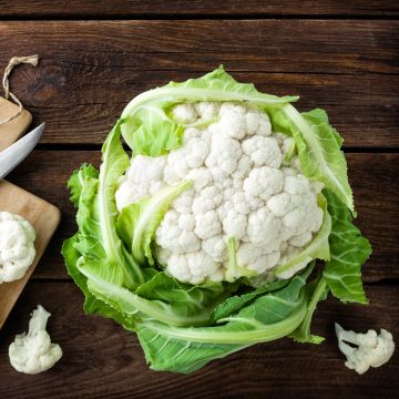 Bloemkool Locris F1 - Vilmorin