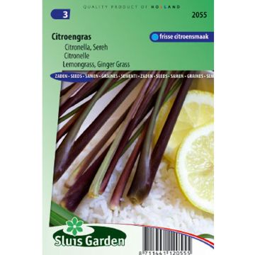Citroengras uit Gabon - Cymbopogon citratus