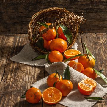 Clementine - Citrus clementina Clementine - Citrus clementina