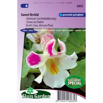 Proboscidea louisianica Sweet Orchid (zaad) - Duivelsklauw