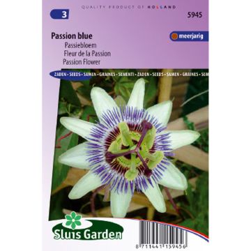 Passiflora caerulea (zaad) - Blauwe passiebloem