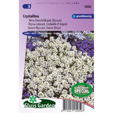 Lobularia maritima Crystallina (zaad) - Zilverschildzaad