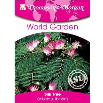 Albizia julibrissin (zaad) - Perzische slaapboom