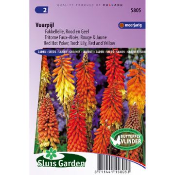 Kniphofia uvaria (zaad) - Vuurpijl