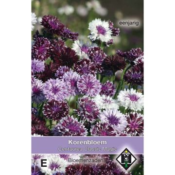 Korenbloem Classic Magic (zaad) - Centaurea cyanus