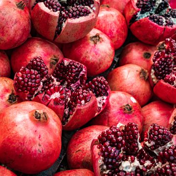 Acco - Granaatappel Punica granatum Acco - Granaatappel Punica granatum