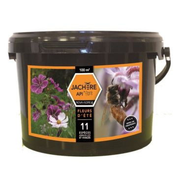 Bijenweide zomerbloemen