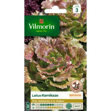 Bataviasla Kamikaze rood getint blad - Vilmorin Bataviasla Kamikaze rood getint blad - Vilmorin