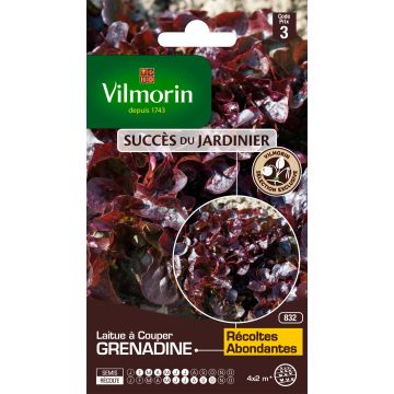 Eikenbladsla Grenadine - Vilmorin