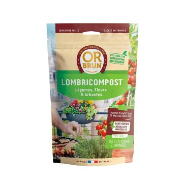 Wormencompost Or Brun