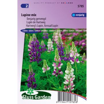 Lupinus hartwegii Mix (zaad) - Eenjarige lupine