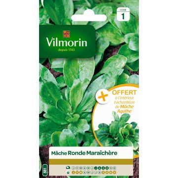 Veldsla Ronde Maraîchère - Vilmorin