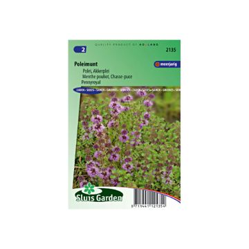 Polei - Mentha pulegium (zaad)