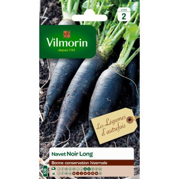 Raap Zwarte lange - Vilmorin