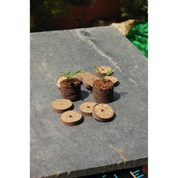 Turfpotje TURBA 4 cm diameter - zak van 25 stuks