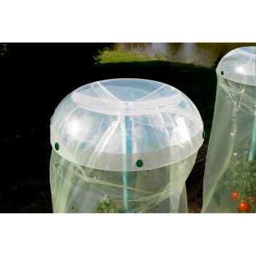 Clip voor Tomatenbeker - zak van 8