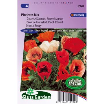 Papaver orientale Pizzicato Mix (zaad) - Oosterse papaver