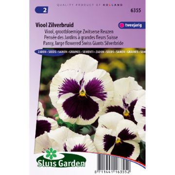 Viola wittrockiana Silverbride (zaad) - Grootbloemige viool