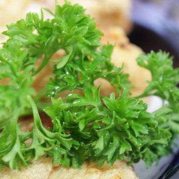 Krulpeterselie Mousse BIO