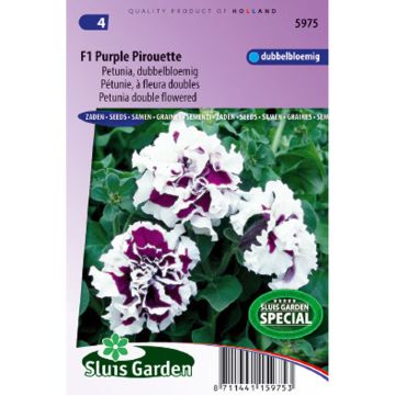 Petunia Purple Pirouette F1 (zaad) - Hangpetunia dubbel