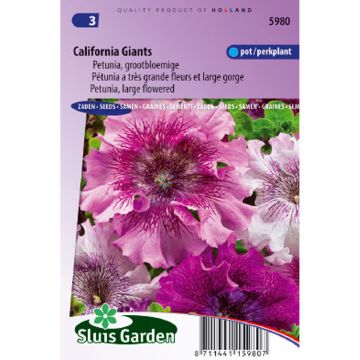 Petunia California Giants (zaad) - Hangpetunia