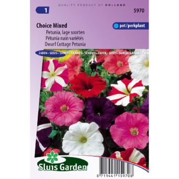 Petunia Choice Nain (zaad) - Hangpetunia