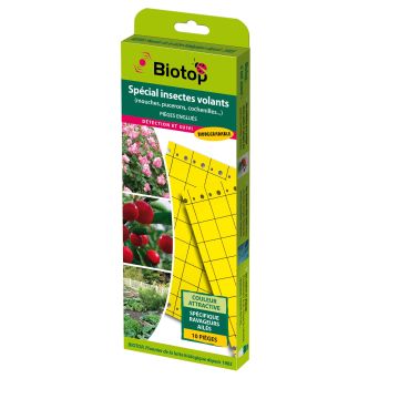 Kleurenval (lijmplaten) geel 25 x 10 cm - doos van 10