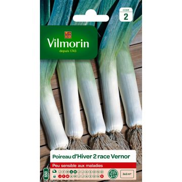 Winterprei Vernor - Vilmorin