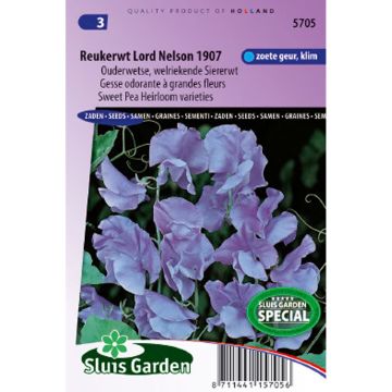 Lathyrus odoratus Lord Nelson (zaad) - Siererwt