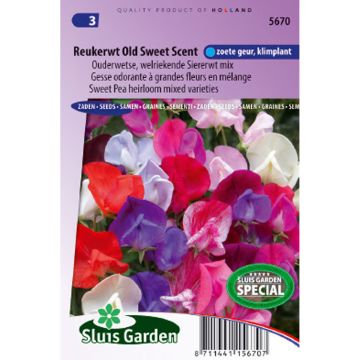 Lathyrus odoratus Old Sweet Scent (zaad) - Siererwt