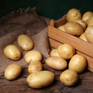 Aardappel Linzer Delikatess