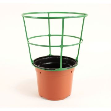 Ronde terracotta pot Ø12 cm met Sopafix plantensteun - verkocht per 5
