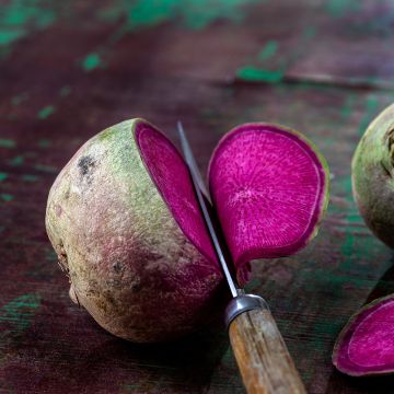 Watermeloenradijs Red Meat Watermeloenradijs Red Meat