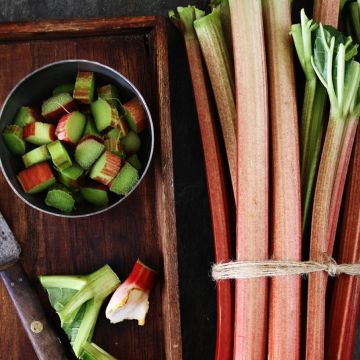 Rabarber Victoria - Vilmorin