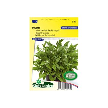 Grote zandkool Sylvetta