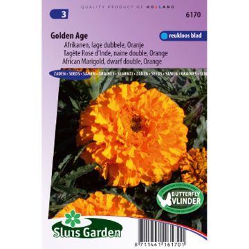 Groot afrikaantje Golden Age (zaad) - Tagetes erecta